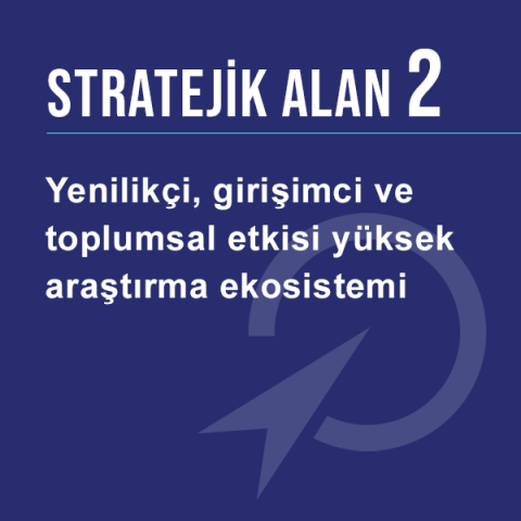 Stratejik Alan 2