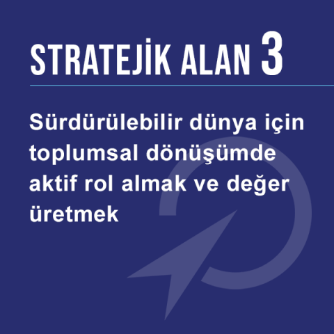 Stratejik Alan 3